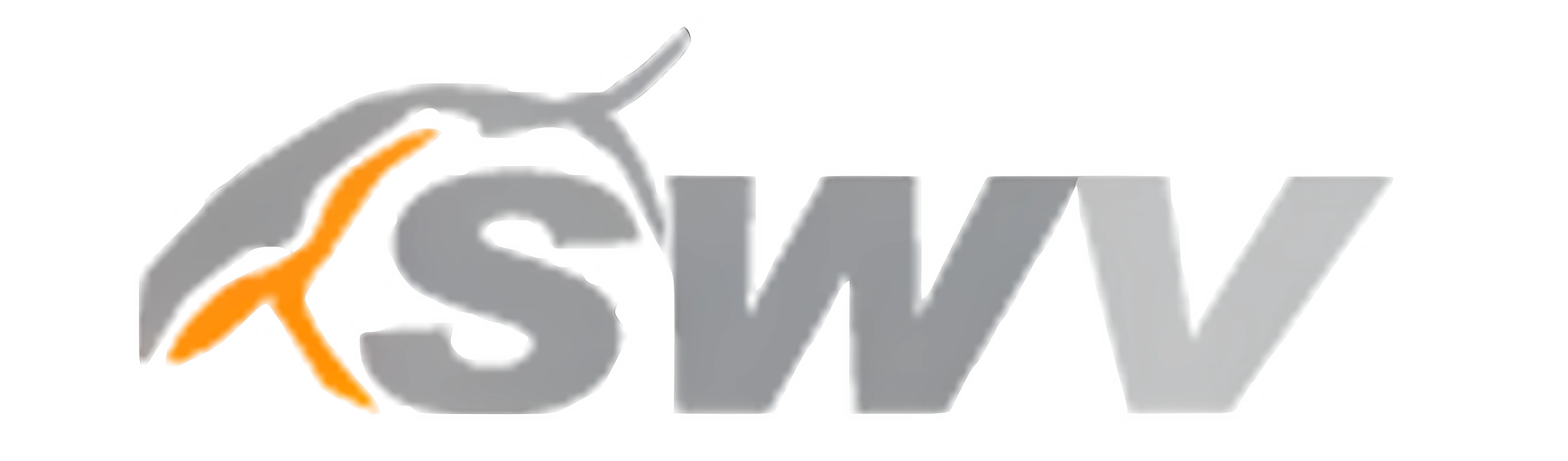 南鯨觀點 SWV Research 南鯨創意【品牌行銷/網站設計/影音製作/印刷設計/空間設計】